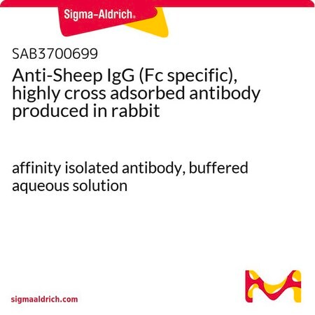 Merck Anti-Sheep IgG (Fc specific), highly cross adsorbed antibody produced in rabbit