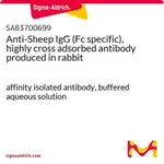 Merck Anti-Sheep IgG (Fc specific), highly cross adsorbed antibody produced in rabbit