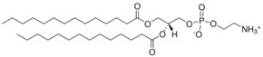 Merck 14:0 PE