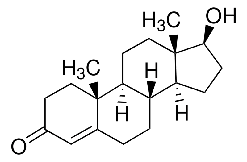 Merck Testosterone