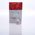 Thermo Fisher Scientific CyQUANT Direct Cell Proliferation Assay, 10 microplates kit