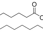 Merck 16:1 PE