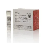 Thermo Fisher Scientific TrueGuide sgRNA Positive Control, HPRT1 (human)