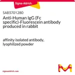 Merck Anti-Human IgG (Fc specific)-Fluorescein antibody produced in rabbit