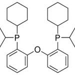 Merck BIS(DICYCLOHEXYLPHOSPHINOPHENYL) ETHER,&