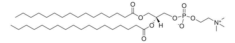 Merck 16:0-18:0 PC