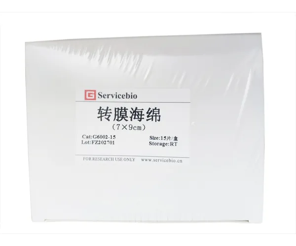Servicebio Transfer Sponge