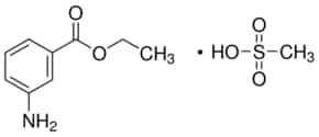 Merck ETHYL 3-AMINOBENZOATE, METHANESULFONIC A