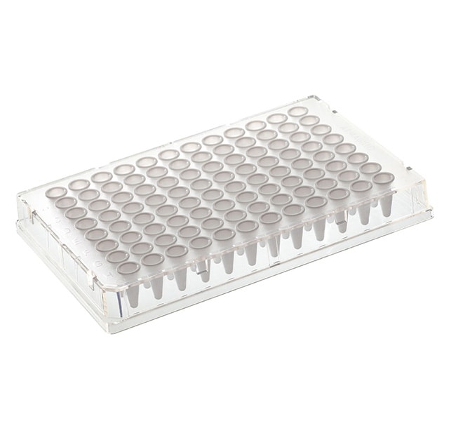 Thermo Fisher Scientific Armadillo PCR Plate, 96-well, red, white wells