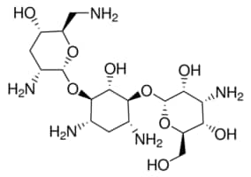 Merck TOBRAMYCIN, AMINOGLYCOSIDE ANTIBIOTIC