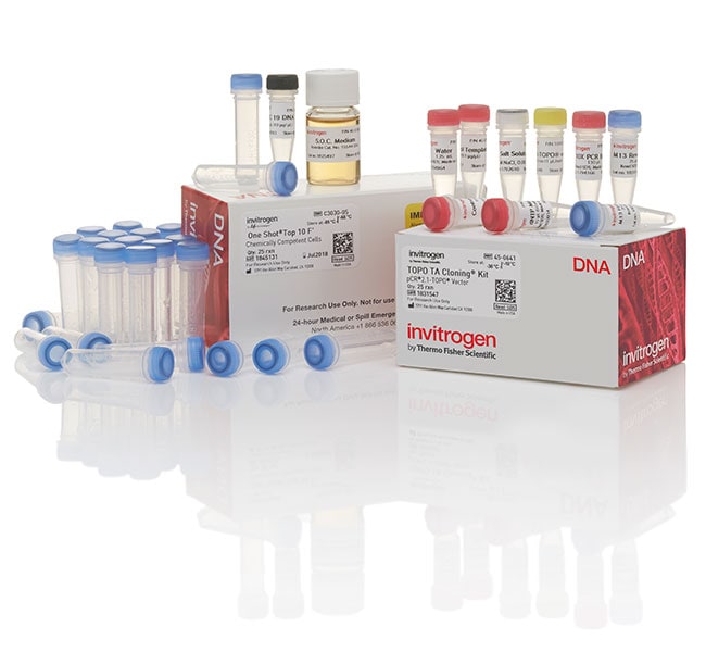 Thermo Fisher Scientific TOPO TA Cloning Kit for Subcloning, with TOP10F` E. coli, 25 Reactions