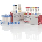 Thermo Fisher Scientific TOPO TA Cloning Kit for Subcloning, with TOP10F` E. coli, 25 Reactions