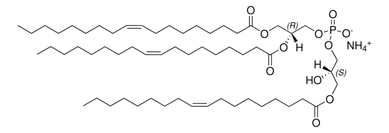 Merck 18:1 Hemi BMP (S,R)