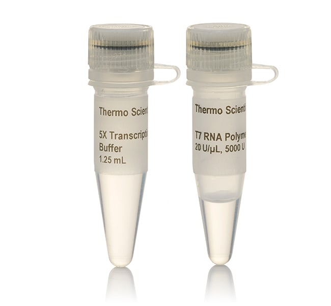 Thermo Fisher Scientific T7 RNA Polymerase (20 U/&mu;L), 5,000 units