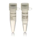 Thermo Fisher Scientific T7 RNA Polymerase (20 U/μL), 5,000 units
