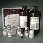 Thermo Fisher Scientific Pierce Primary Neuron Isolation Kit