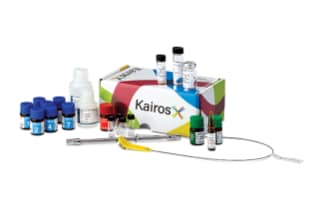 Waters Kairos Amino Acid 500+ Manual First Time