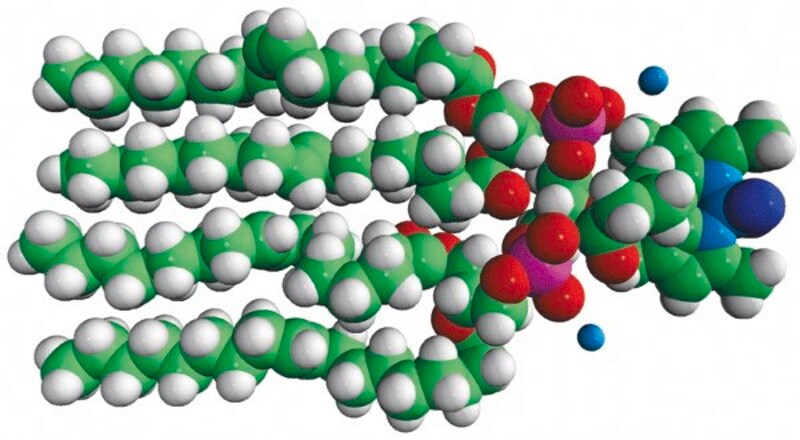 Merck TopFluor(R) Cardiolipin
