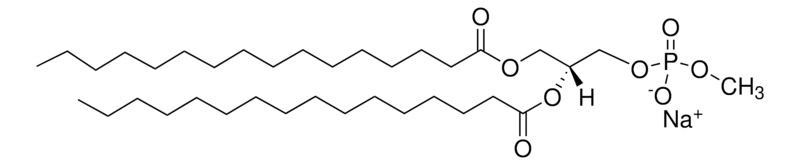 Merck 16:0 Phosphatidylmethanol