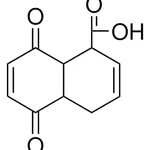 Merck 5,8-DIOXO-1,4,4A,5,8,8A-HEXAHYDRO-