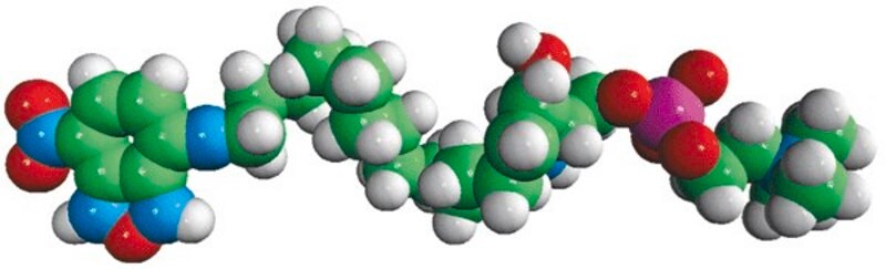 Merck NBD Lyso SM