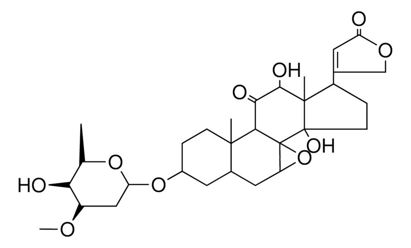 Merck LEPTOSIDE - 5 MG