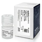 Thermo Fisher Scientific TaqMan Universal Master Mix II, no UNG, 1 x 5 mL