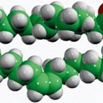 Merck 15:0-18:1-D7 DG