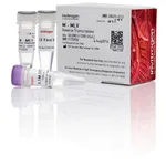 Thermo Fisher Scientific M-MLV Reverse Transcriptase (200 U/μL), 40,000 units