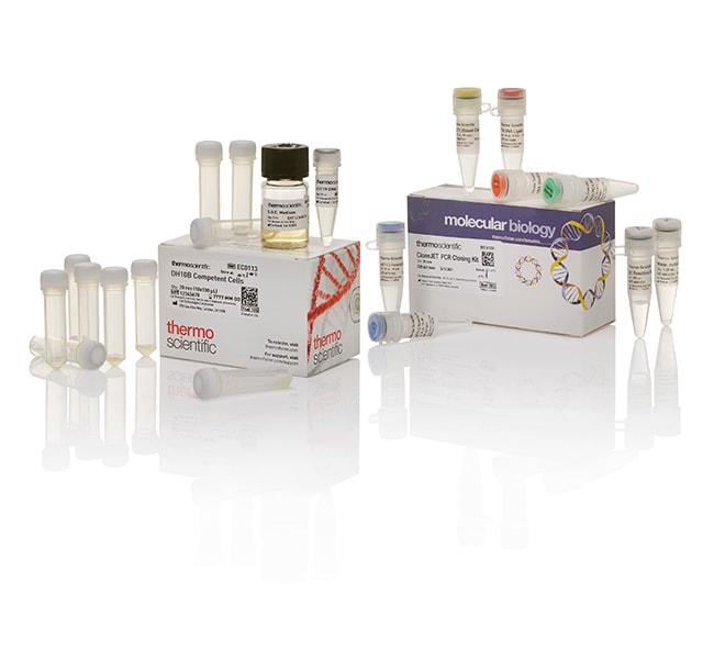 Thermo Fisher Scientific CloneJET PCR Cloning Kit with DH10B Competent Cells, 20 Reactions