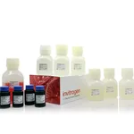 Thermo Fisher Scientific ELISA Buffer Kit