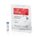 Thermo Fisher Scientific Alexa Fluor 647 C2 Maleimide