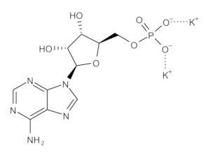 Merck POLYADENYLIC ACID (5``), POTASSIUM