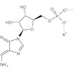 Merck POLYADENYLIC ACID (5``), POTASSIUM