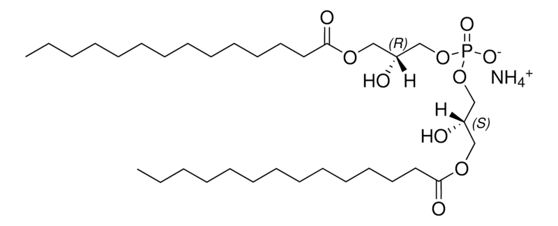Merck 14:0 BMP (S,R)