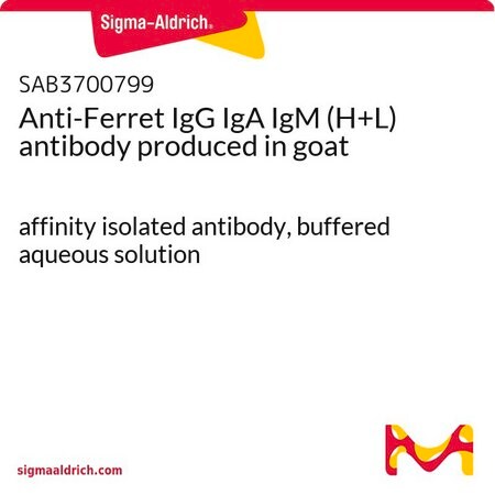 Merck Anti-Ferret IgG IgA IgM (H+L) antibody produced in goat