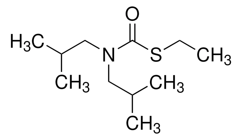 Merck Butylat