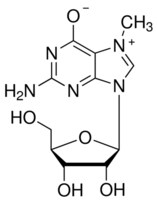 Merck 7-METHYLGUANOSINE