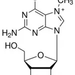 Merck 7-METHYLGUANOSINE