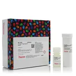 Thermo Fisher Scientific Pro-Detect Rapid Human Fc Assay Kit