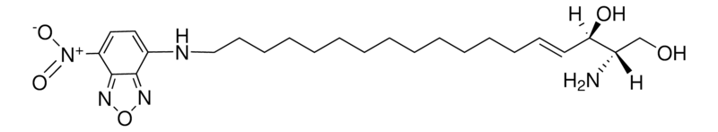 Merck NBD Sphingosine
