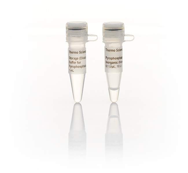 Thermo Fisher Scientific Pyrophosphatase, inorganic (0.1 U/μL)