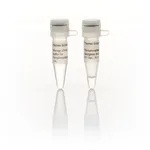 Thermo Fisher Scientific Pyrophosphatase, inorganic (0.1 U/μL)