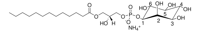 Merck 13:0 Lyso PI