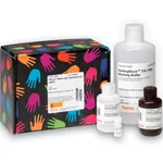 Thermo Fisher Scientific Clean-Blot IP Detection Kit (HRP)