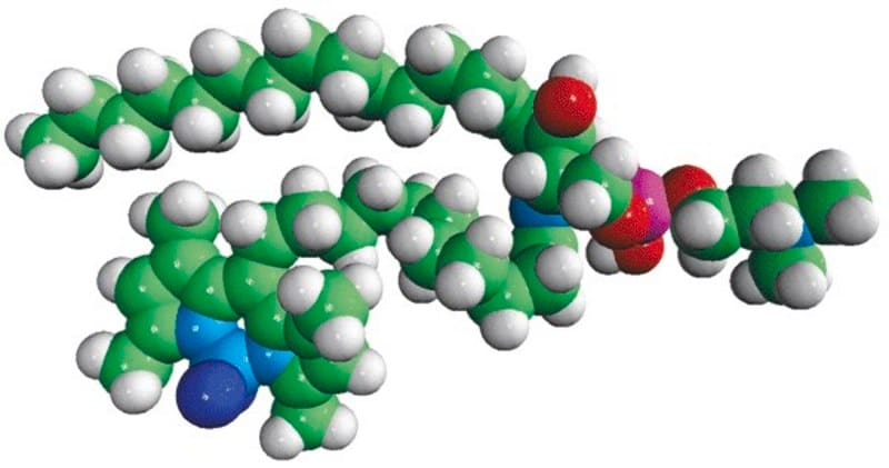 Merck C11 TopFluor(R) Sphingomyelin