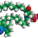 Merck C11 TopFluor(R) Sphingomyelin