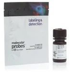 Thermo Fisher Scientific SlowFade Gold Antifade Mountant with DAPI, 10 mL