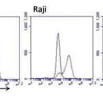 Thermo Fisher Scientific Goat anti-Mouse IgG Fc Cross-Adsorbed Secondary Antibody, FITC