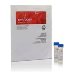 Thermo Fisher Scientific Calcium Green-1, AM, cell permeant, 500ug